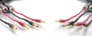 Antipodes Reference Full Range Speaker Cables; 6ft Pair; BFA Banana