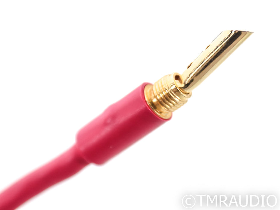 Antipodes Reference Full Range Speaker Cables; 6ft Pair; BFA Banana
