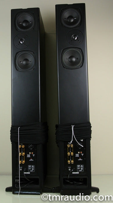 Definitive Technology BP-2002 Floor-standing Bipolar Powered