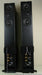 Definitive Technology BP-2002 Floor-standing Bipolar Powered Speakers