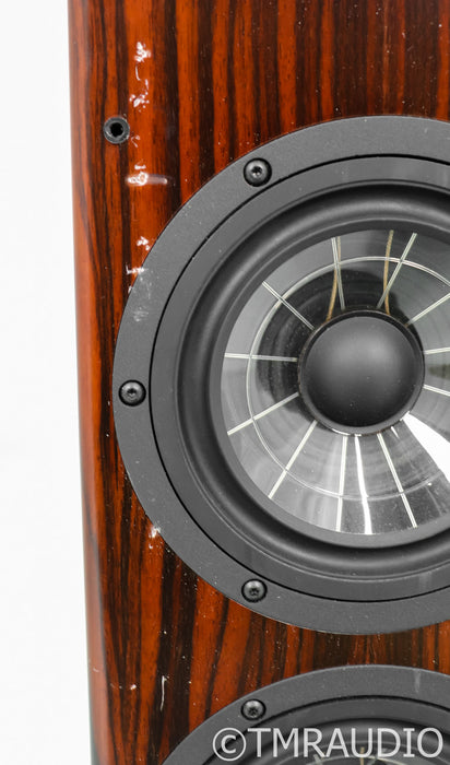 Vienna Acoustics Beethoven Baby Grand Floorstanding Speakers; Rosewood Pair