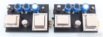 Quicksilver Audio SET Mono Tube Power Amplifier; Pair