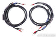 AudioQuest ThunderBird Bi-Wire COMBO Speaker Cables; 6ft Pair; 72v DBS