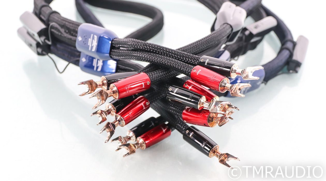 AudioQuest ThunderBird Bi-Wire COMBO Speaker Cables; 6ft Pair; 72v DBS