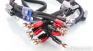 AudioQuest ThunderBird Bi-Wire COMBO Speaker Cables; 6ft Pair; 72v DBS