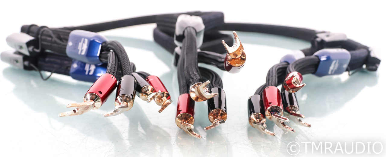AudioQuest ThunderBird Bi-Wire COMBO Speaker Cables; 6ft Pair; 72v DBS