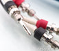 Cardas Quadlink Bi-Wire Speaker Cables; 2.5m Pair
