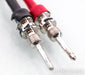 Cardas Quadlink Bi-Wire Speaker Cables; 2.5m Pair