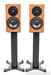 Dynaudio Heritage Special Bookshelf Speakers; Walnut Pair w/ Stands