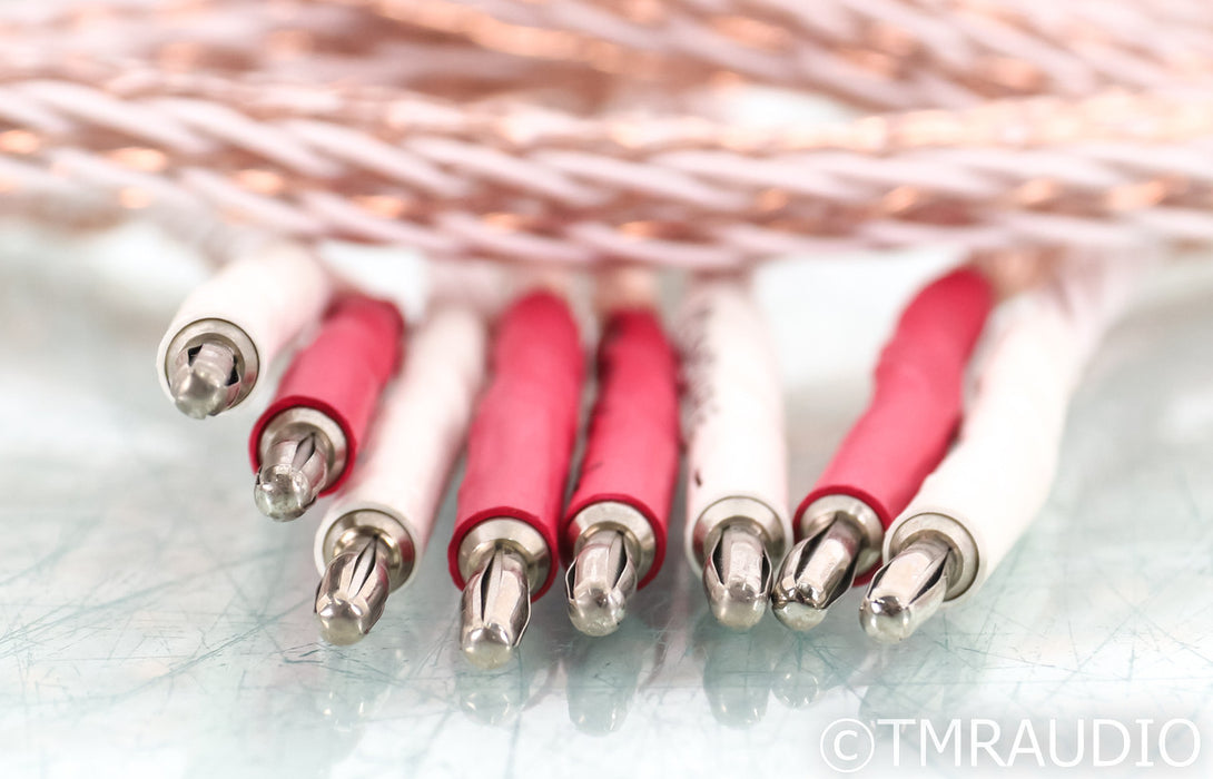 KimberKable 12TC Speaker Cables; 9ft Pair; 12-TC