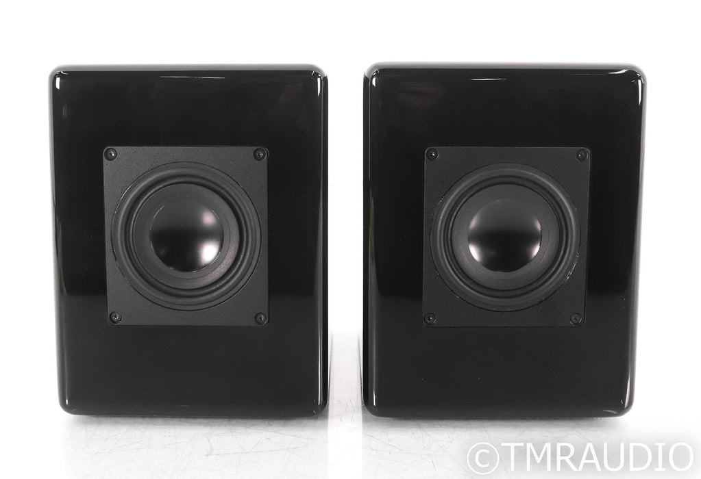 Audience The ONE-NS Loudspeakers; Black Pair (Open Box)