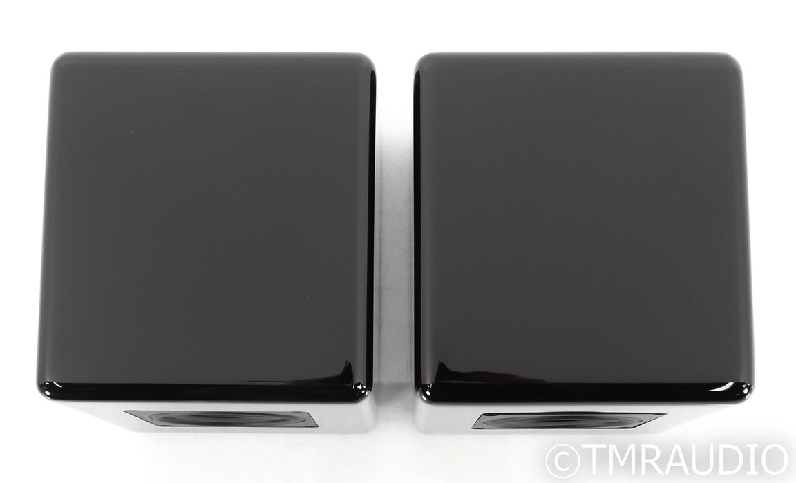 Audience The ONE-NS Loudspeakers; Black Pair (Open Box)