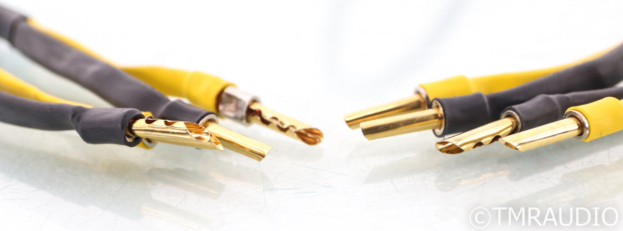Analysis Plus Oval 12 Speaker Cables; 2m Pair