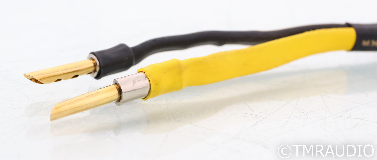 Analysis Plus Oval 12 Speaker Cables; 2m Pair