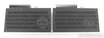 Herron Audio M1 Mono Power Amplifier; Silver Pair