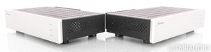 Herron Audio M1 Mono Power Amplifier; Silver Pair