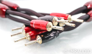 AudioQuest William Tell Zero Speaker Cables; 10ft Pair; 72v DBS