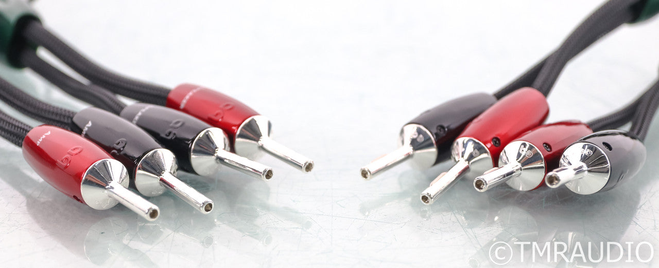 AudioQuest Robin Hood Zero Speaker Cables; 6ft Pair; 72v DBS (Open Box)