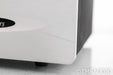 Sanders ESL Mono Power Amplifier; Silver Pair