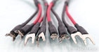 Audience Au24 SE Speaker Cables; Au-24; 2m Pair