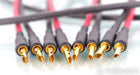 Audience Au24 SX Speaker Cables; Au-24; 2.5m Pair