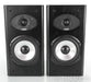 Acoustic Energy Aespirit 300; AE-300; Black Pair