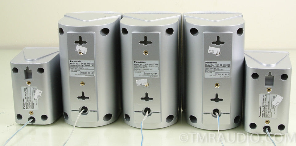 Panasonic SCHT95 Speaker System