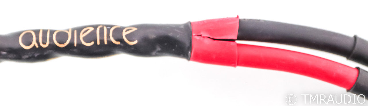 Audience OHNO III Speaker Cables; 3m Pair
