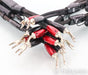 AudioQuest Castle Rock Bi-Wire Speaker Cable; 6ft Pair; 72v DBS