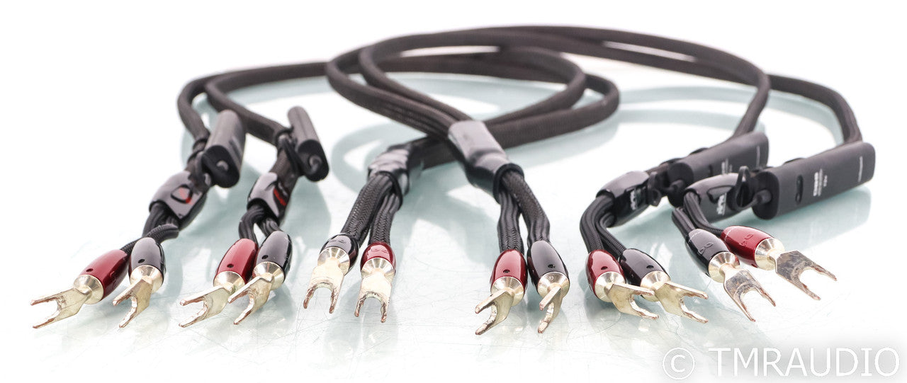 AudioQuest Castle Rock Bi-Wire Speaker Cable; 6ft Pair; 72v DBS
