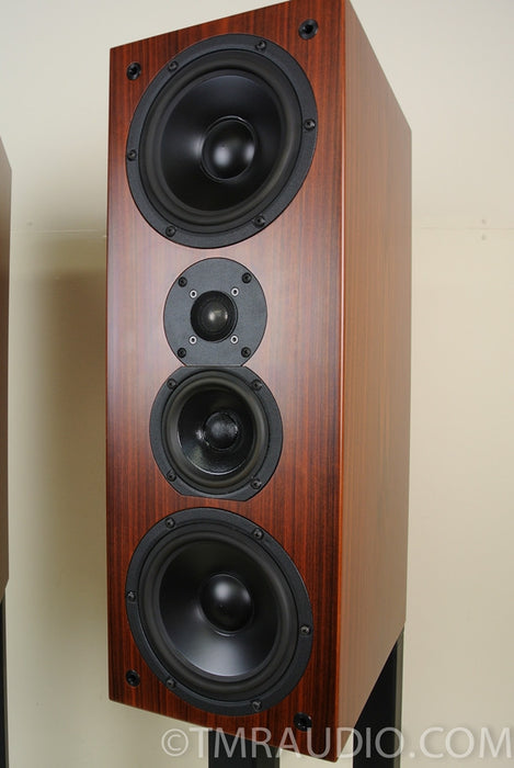 Aerial Acoustics Model LR3 Cherry, Mint Condition with Stands