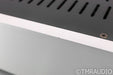 Herron Audio M1 Mono Power Amplifier; Silver Pair; M-1