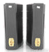 Sonus Faber Concertino Domus Bookshelf Speakers; Black Pair