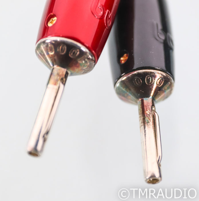 AudioQuest Castle Rock Speaker Cables; 10ft Pair; 72v DBS