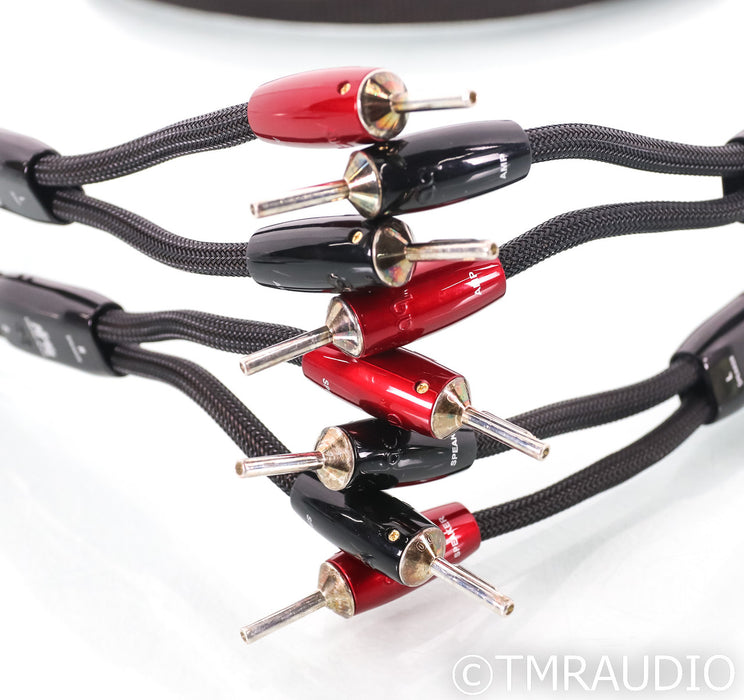 AudioQuest Castle Rock Speaker Cables; 10ft Pair; 72v DBS