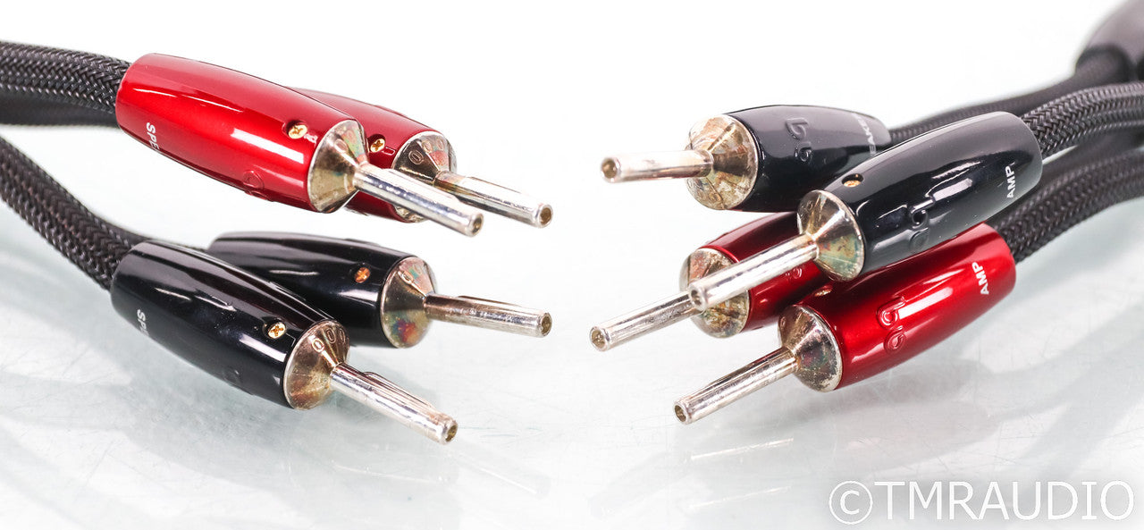 AudioQuest Castle Rock Speaker Cables; 10ft Pair; 72v DBS