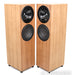 Audio Kinesis Custom Build Jazz Module Floorstanding Speakers; Walnut Pair