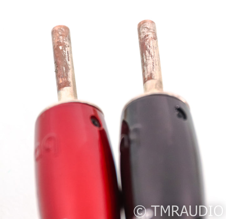 AudioQuest Castle Rock Speaker Cables; 5ft Pair; 72v DBS