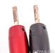 AudioQuest Castle Rock Speaker Cables; 5ft Pair; 72v DBS