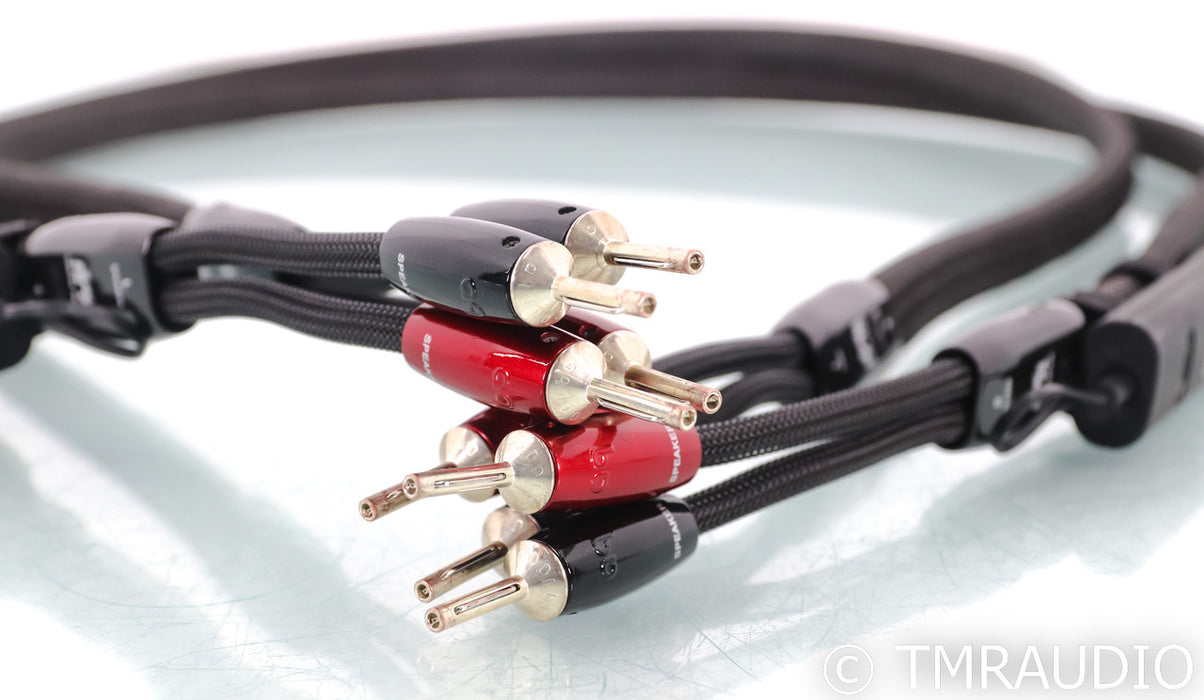 AudioQuest Castle Rock Speaker Cables; 5ft Pair; 72v DBS
