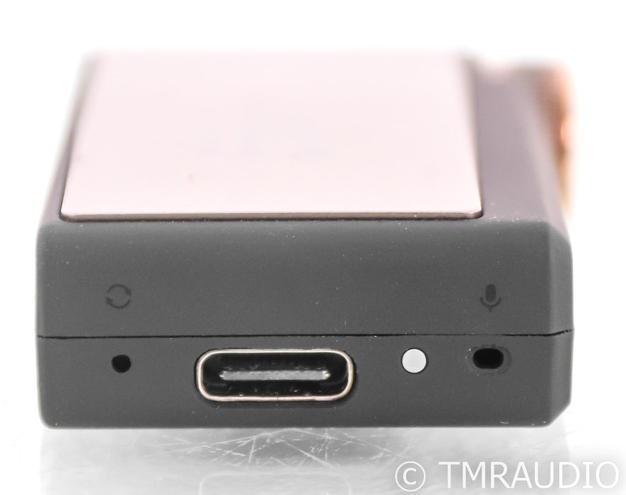 iFi Audio GO Blu Portable DAC / Headphone Amplifier; Bluetooth
