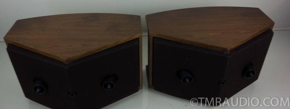 Bose 901 VI Direct Reflecting Speakers