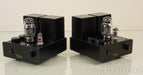 Radii Audio MMSKT88 Monoblock Tube Amplifier