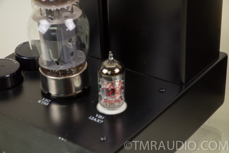 Radii Audio MMSKT88 Monoblock Tube Amplifier