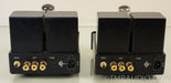 Radii Audio MMSKT88 Monoblock Tube Amplifier