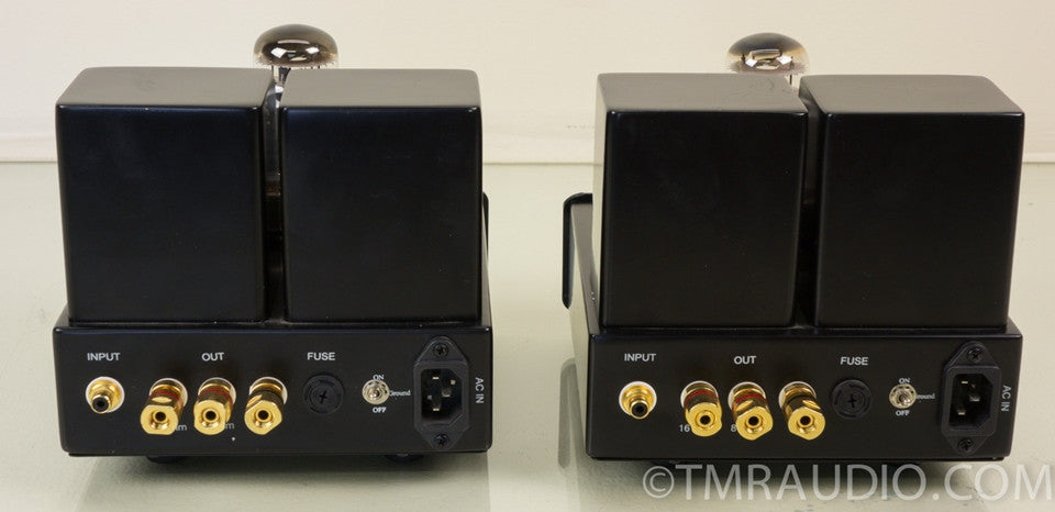 Radii Audio MMSKT88 Monoblock Tube Amplifier