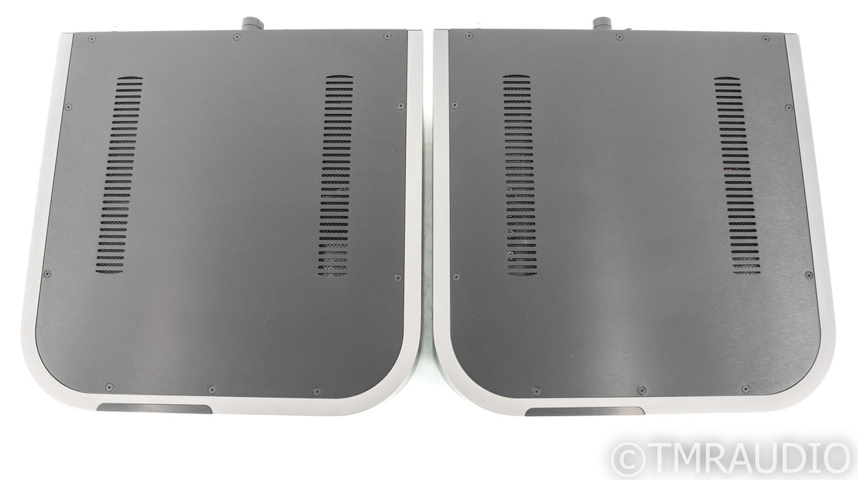 Classe Delta Mono Power Amplifier; Pair