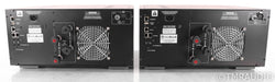 Classe Delta Mono Power Amplifier; Pair