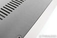 Classe Delta Mono Power Amplifier; Pair