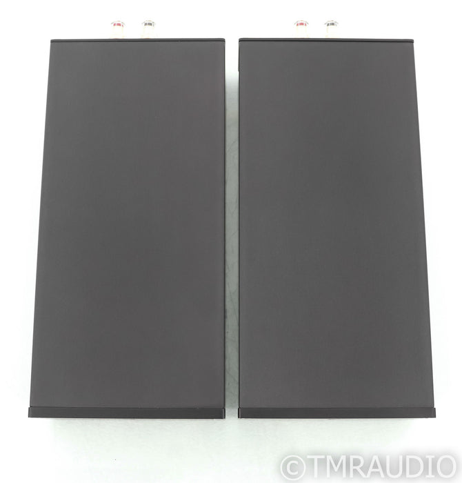 Red Dragon Audio M500 MkII Mono Power Amplifier; M-500 Mk2; Black Pair